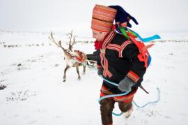 Noruega,  en Semana Santa - Viajar a la Laponia Noruega en Invierno ✈️ Foro Europa Escandinava