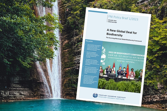 New Policy Brief: A New Global Deal for Biodiversity